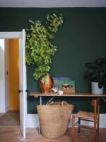 Duck Green W55 Farrow and Ball