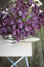 Farrow and Ball Ammonite Tisch