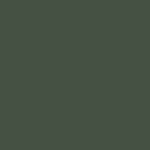 Farrow & Ball Duck Green W55