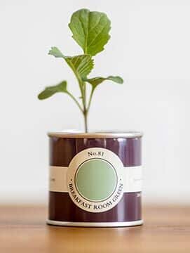Farrow & Ball ECO Farrow & Ball ECO