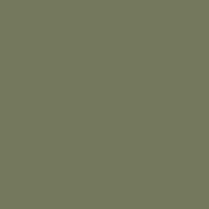Farrow and Ball Olive 13