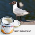 Farrow and Ball Snow White Möwe