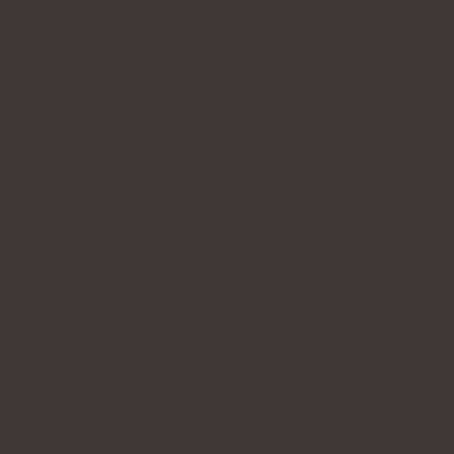 Farrow and Ball Tanners Brown 255