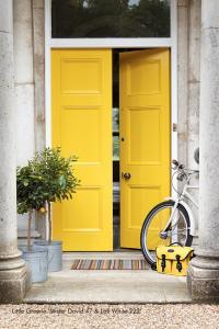 Little Greene Mister David
