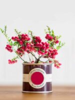 Musterdose Rectory Red